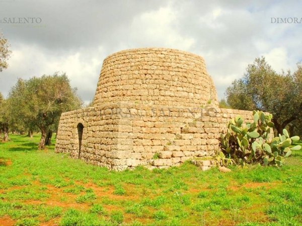terreno agricolo in vendita a Tiggiano