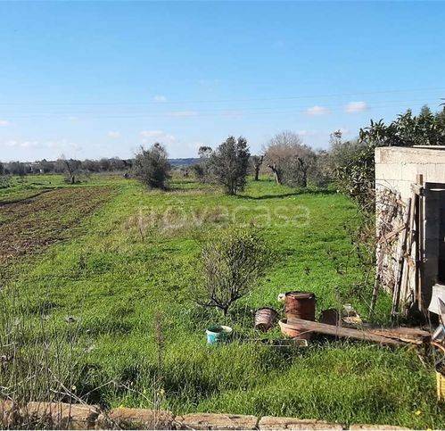 terreno agricolo in vendita a Tiggiano