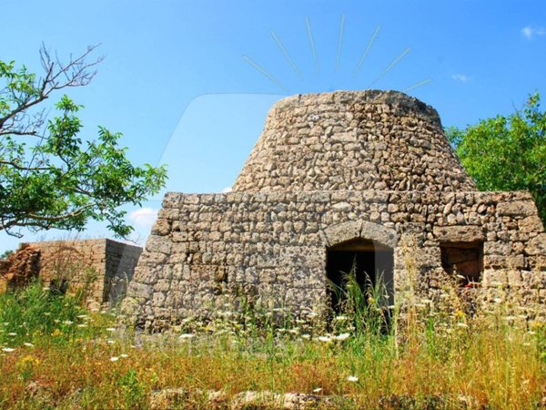 terreno agricolo in vendita a Tiggiano