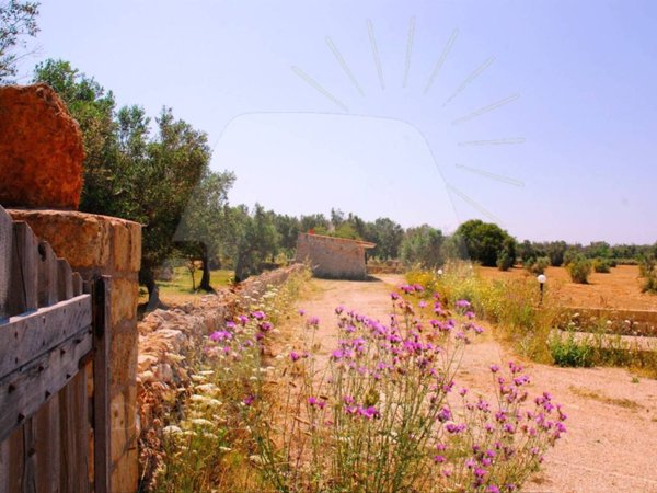 casa indipendente in vendita a Tiggiano