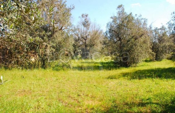 terreno in vendita a Tiggiano