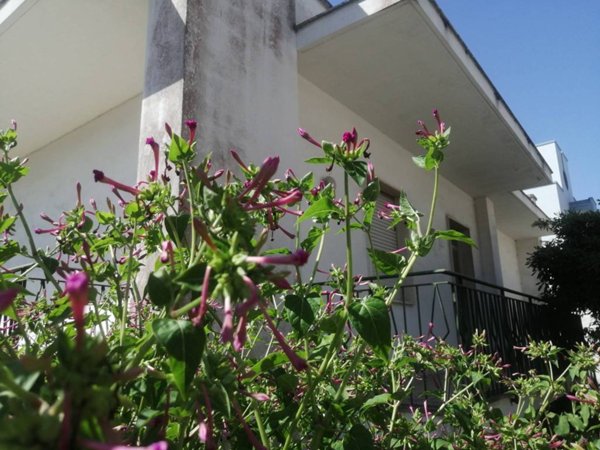 casa indipendente in vendita a Trepuzzi