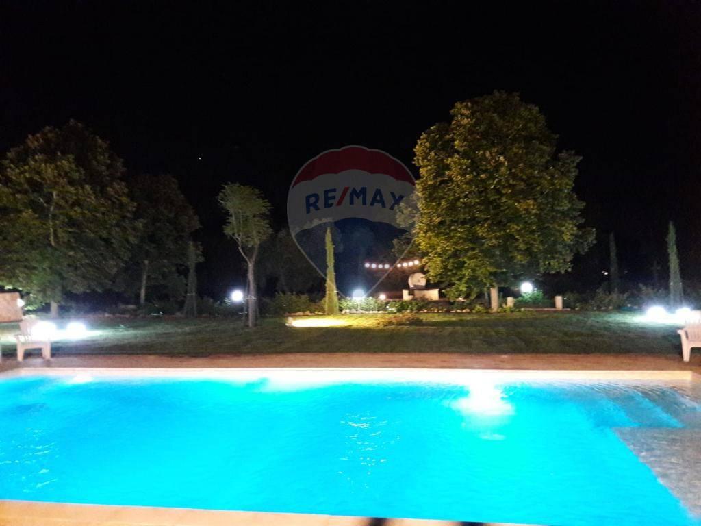 immagine annuncio 0 di 15