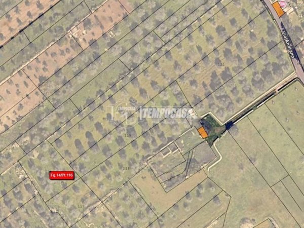 terreno agricolo in vendita a Trepuzzi