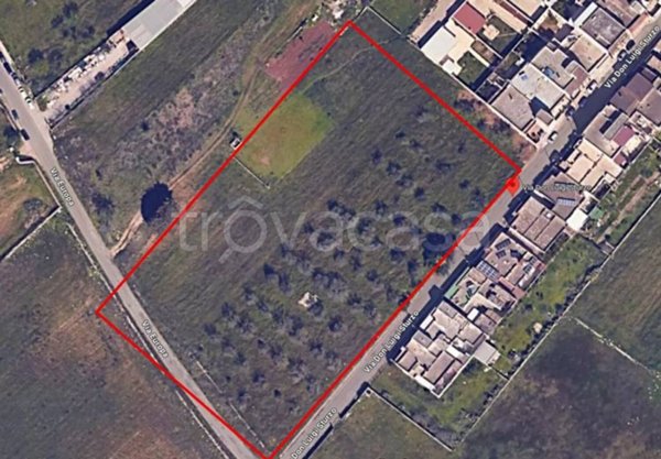 terreno agricolo in vendita a Trepuzzi