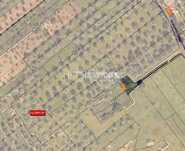 terreno agricolo in vendita a Trepuzzi