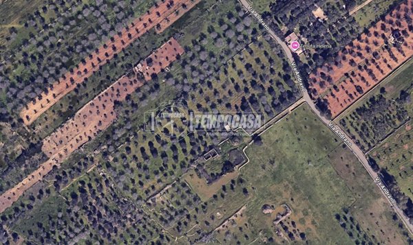 terreno agricolo in vendita a Trepuzzi