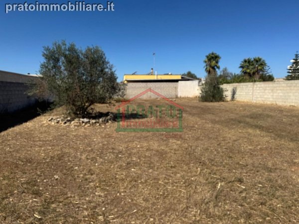 terreno edificabile in vendita a Trepuzzi