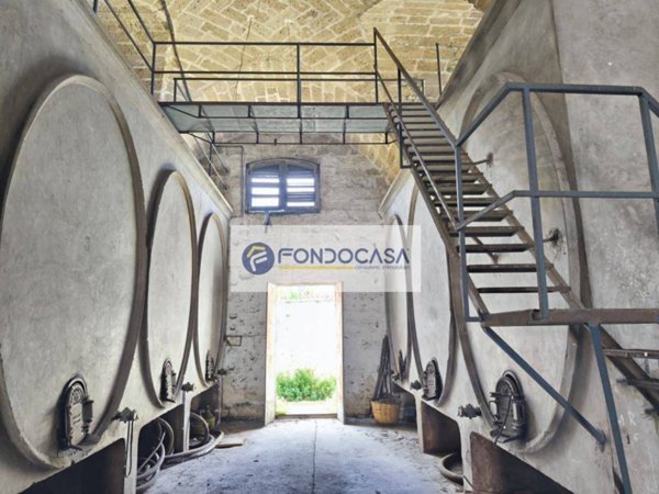 negozio in vendita a Trepuzzi