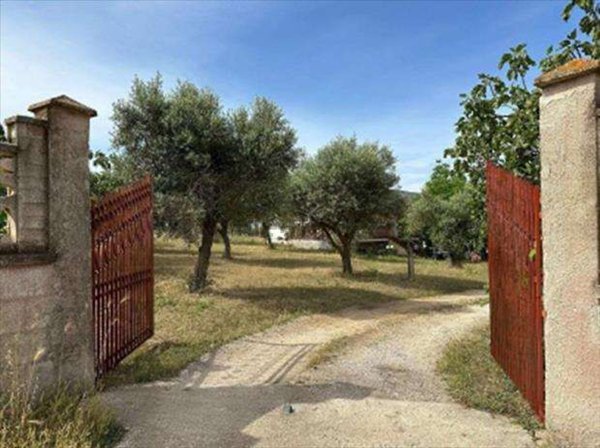 pentavano in vendita a Trepuzzi