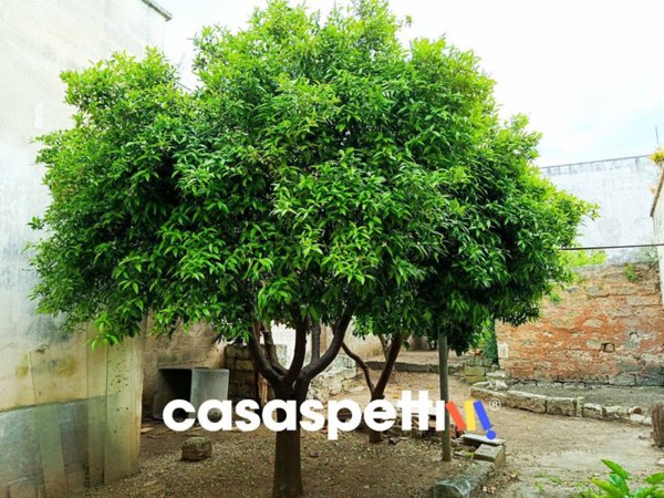 appartamento in vendita a Trepuzzi
