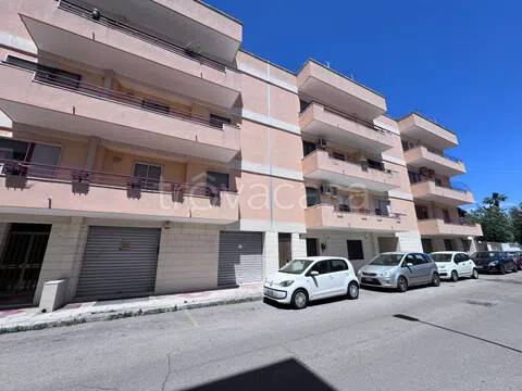 appartamento in vendita a Trepuzzi