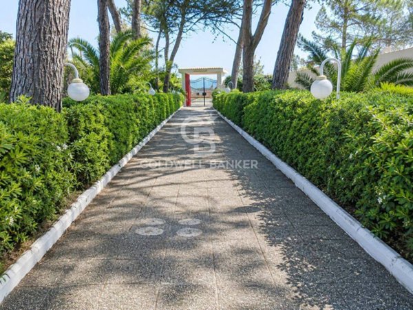 casa indipendente in vendita a Trepuzzi