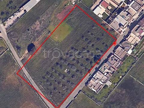 terreno agricolo in vendita a Trepuzzi