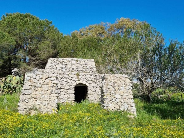 terreno agricolo in vendita a Tricase