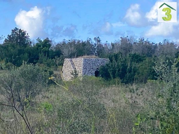 terreno agricolo in vendita a Tricase