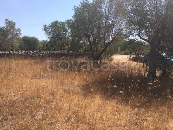 terreno agricolo in vendita a Tricase