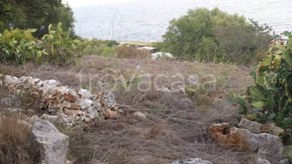 terreno agricolo in vendita a Tricase