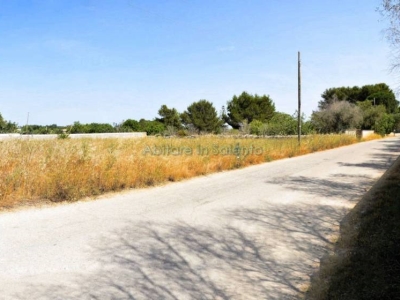 terreno agricolo in vendita a Tricase