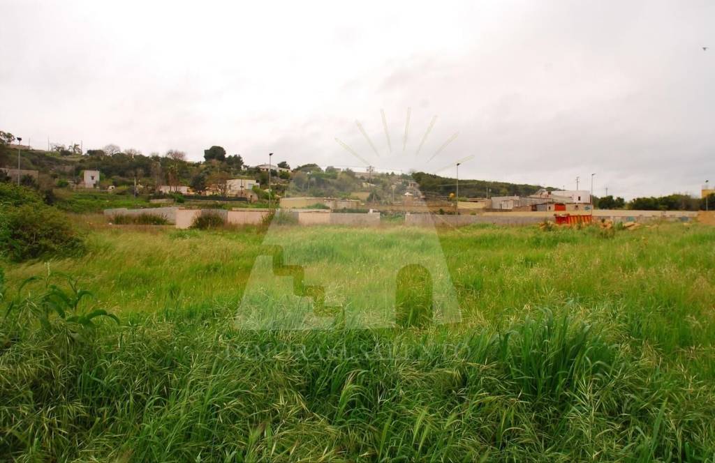 terreno agricolo in vendita a Tricase