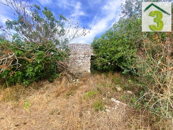 terreno agricolo in vendita a Tricase in zona Depressa