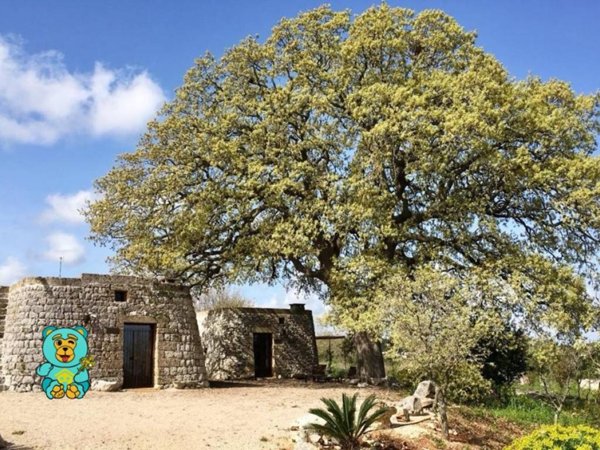 casa indipendente in vendita a Tricase