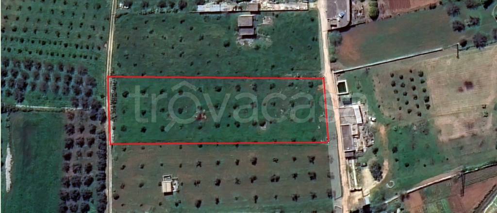 terreno agricolo in vendita a Tricase