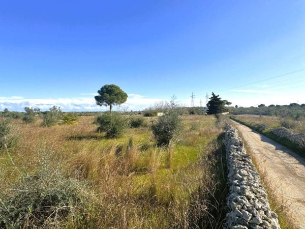 terreno agricolo in vendita a Tricase