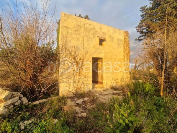 terreno agricolo in vendita a Tricase