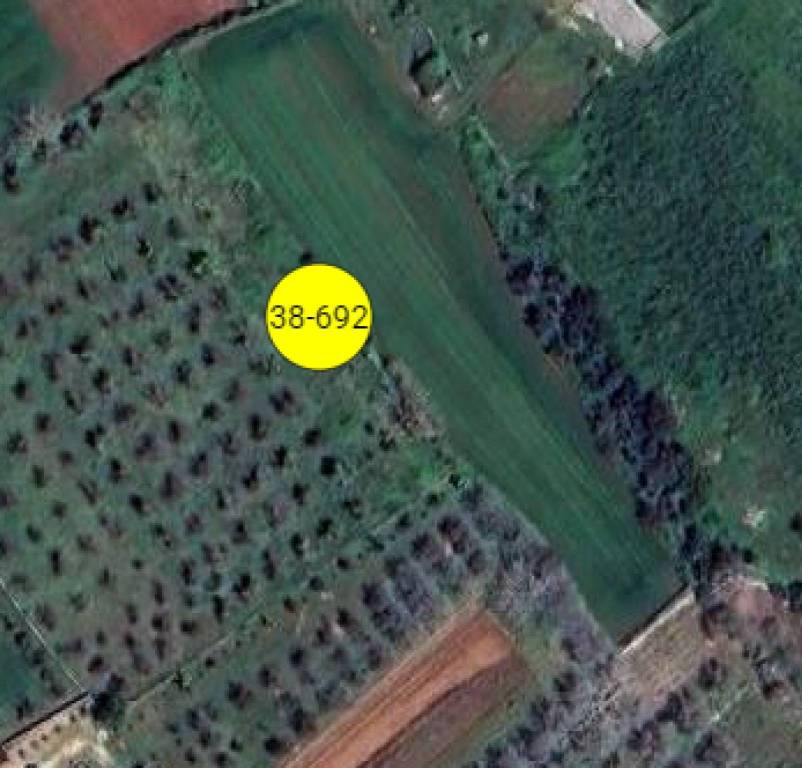 terreno agricolo in vendita a Tricase