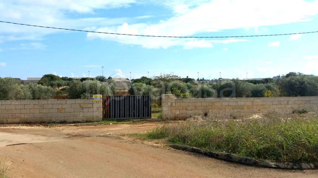 terreno agricolo in vendita a Tricase