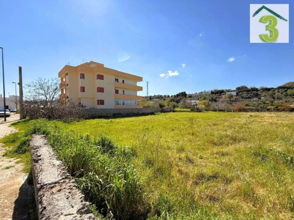terreno agricolo in vendita a Tricase