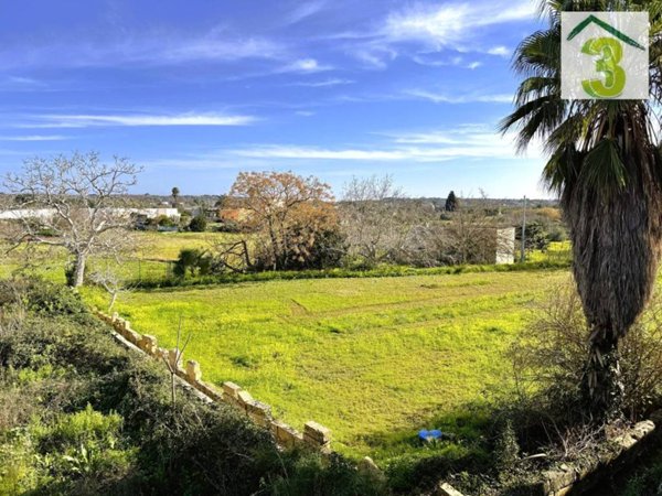 terreno agricolo in vendita a Tricase