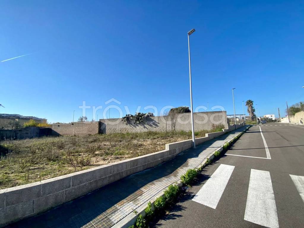 terreno agricolo in vendita a Tricase