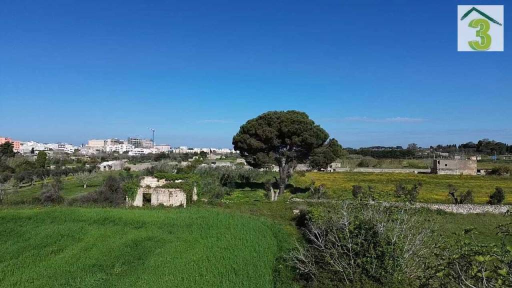 terreno agricolo in vendita a Tricase
