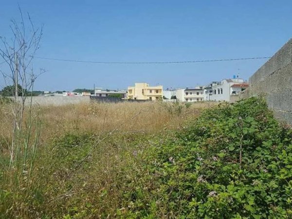 terreno agricolo in vendita a Tricase