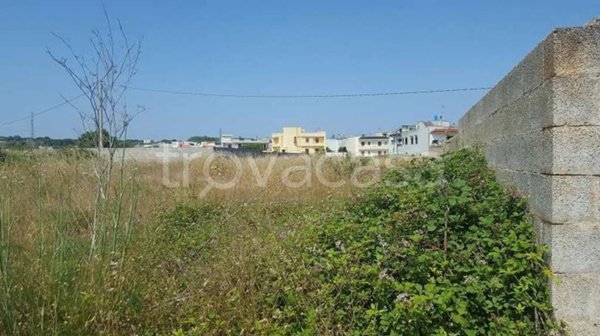 terreno agricolo in vendita a Tricase