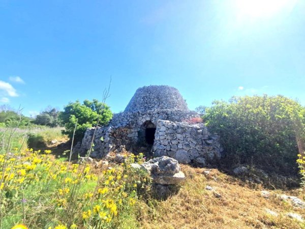 terreno agricolo in vendita a Tricase