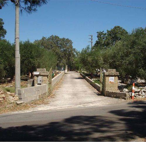 terreno agricolo in vendita a Tricase