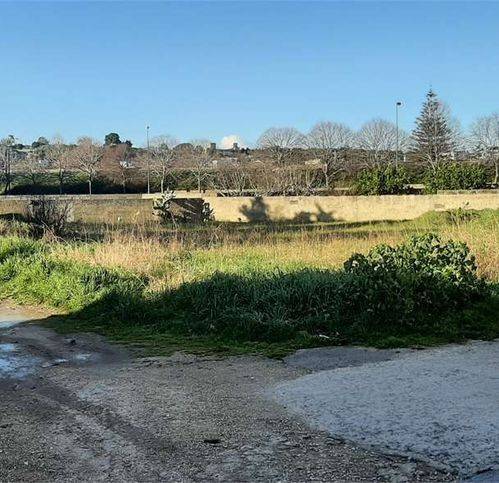 terreno agricolo in vendita a Tricase