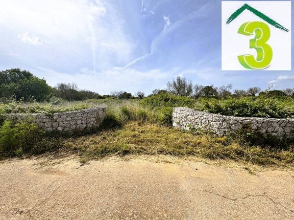 terreno agricolo in vendita a Tricase