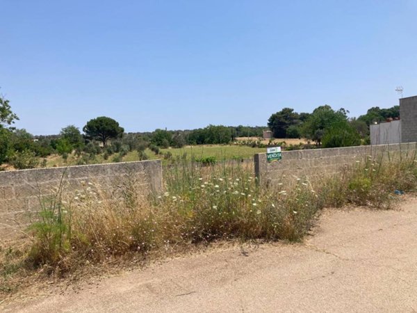 terreno agricolo in vendita a Tricase in zona Depressa
