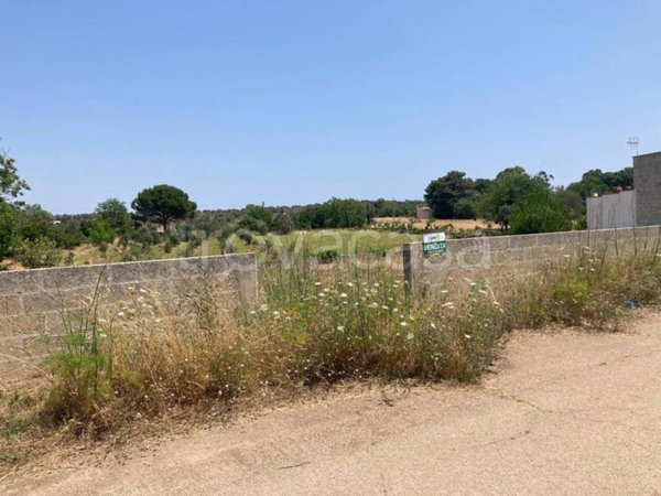 terreno agricolo in vendita a Tricase in zona Depressa