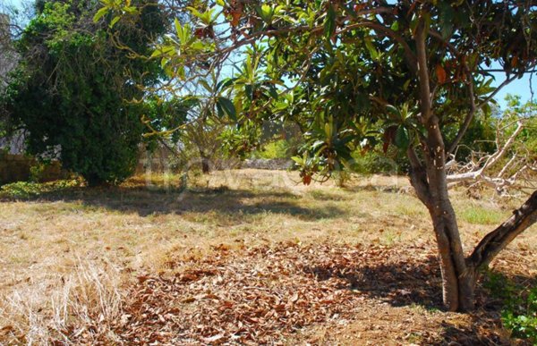 villa in vendita a Tricase