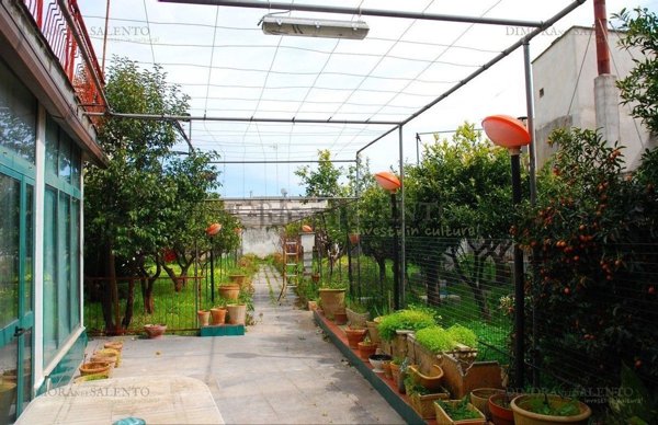 casa indipendente in vendita a Tricase