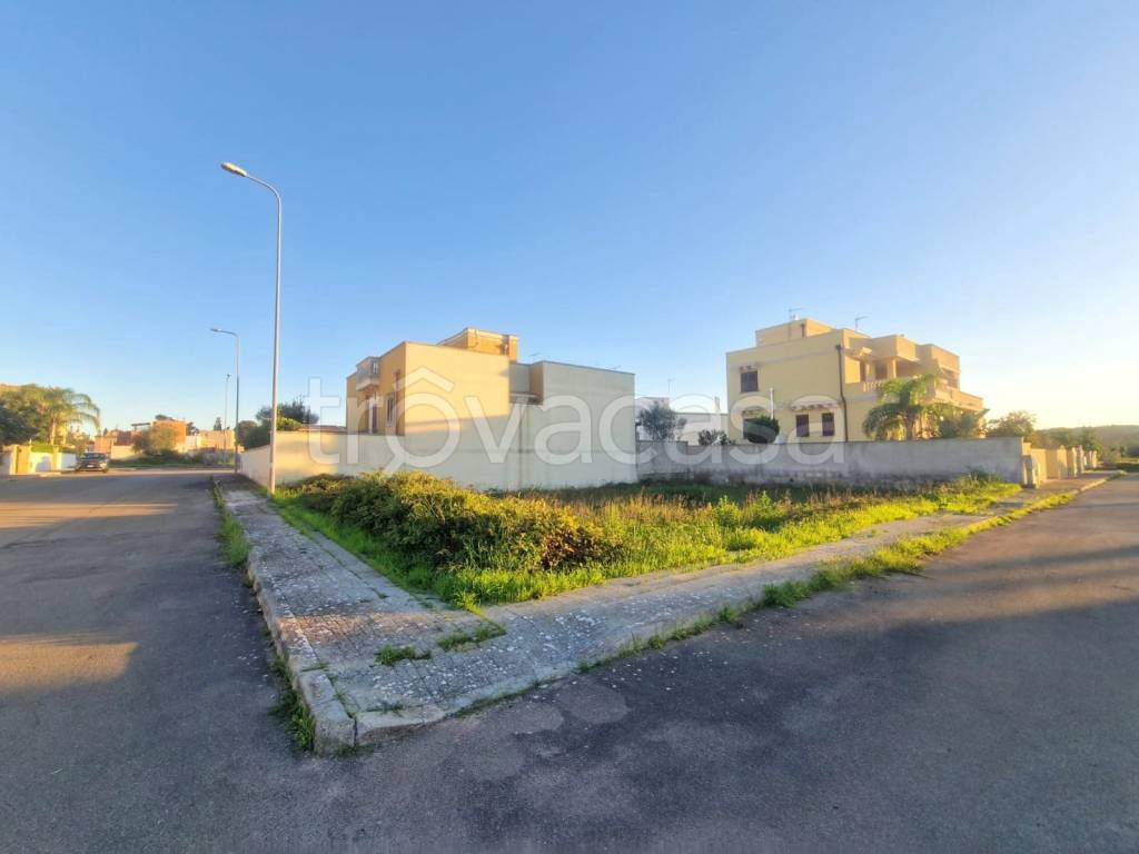 terreno agricolo in vendita a Tricase