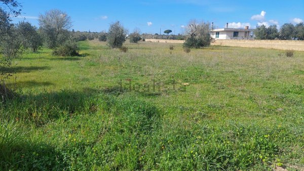 terreno agricolo in vendita a Tricase