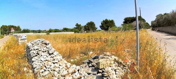terreno agricolo in vendita a Tricase