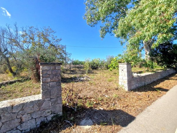 terreno agricolo in vendita a Tricase