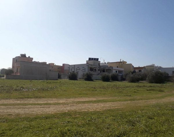 terreno agricolo in vendita a Tricase